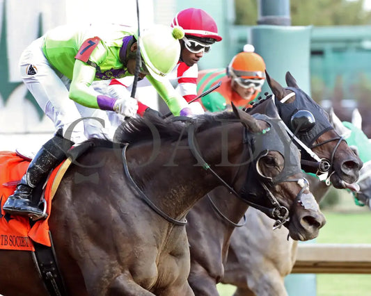 Happy Is A Choice - 091424 Race 09 Cd The Louisville Thoroughbred Society Finish 02 Churchill Downs