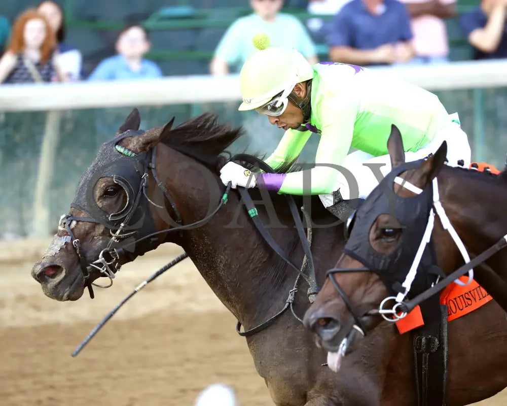 Happy Is A Choice - 091424 Race 09 Cd The Louisville Thoroughbred Society Inside Finish 01