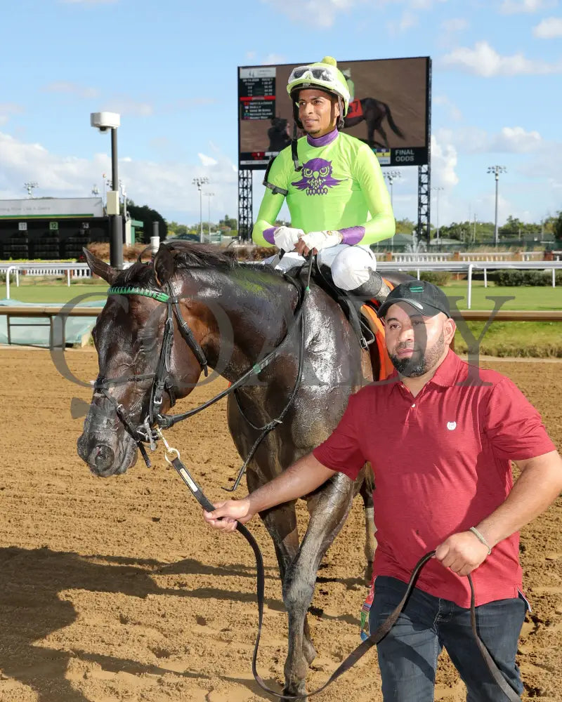 Happy Is A Choice - 091424 Race 09 Cd The Louisville Thoroughbred Society Walk In 01 Churchill Downs