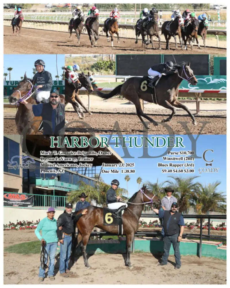 Harbor Thunder - 01-23-25 R06 Tup Turf Paradise