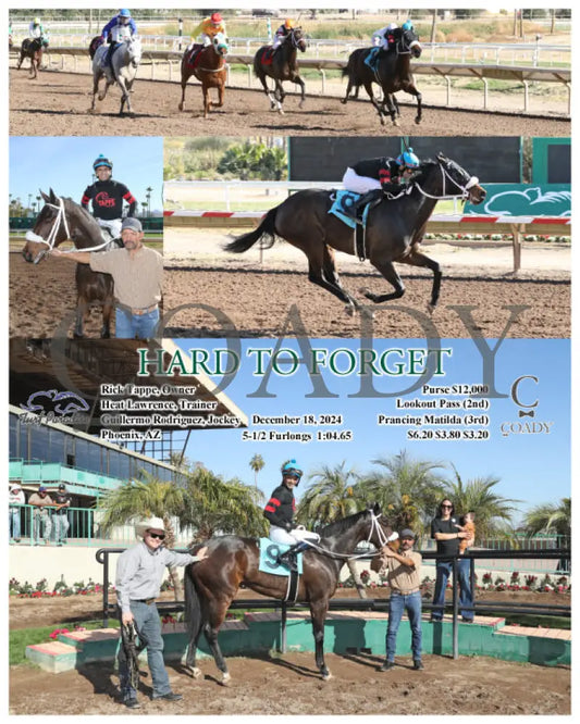 Hard To Forget - 12-18-24 R02 Tup Turf Paradise