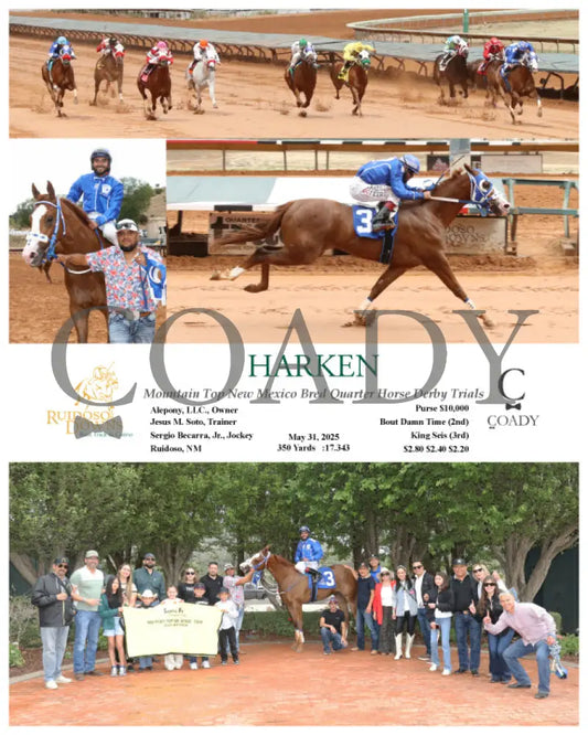 HARKEN - Mountain Top New Mexico Bred Quarter Horse Derby Trials - 05-31-25 - R07 - RUI Ruidoso Downs