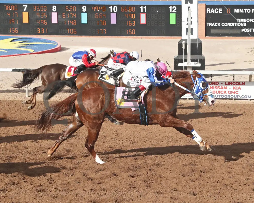 HARKEN - West Texas Derby - 61st Running - 03-01-25 - R08 - Sunland Park - Finish Sunland Park