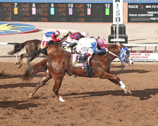 HARKEN - West Texas Derby - 61st Running - 03-01-25 - R08 - Sunland Park - Finish Sunland Park