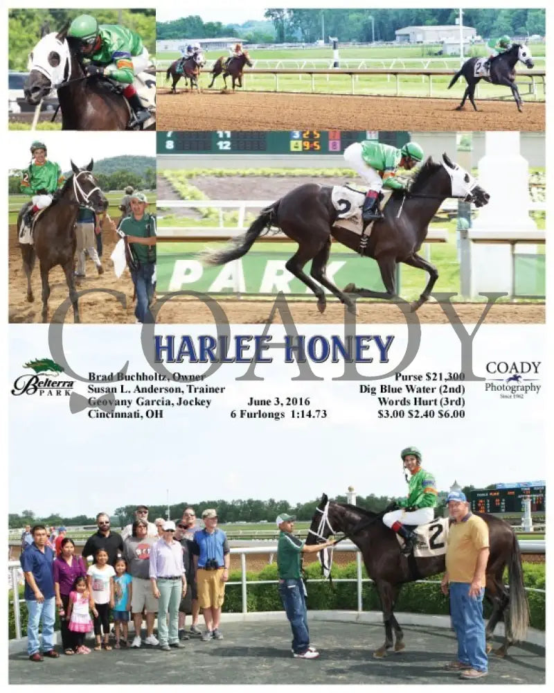 Harlee Honey - 060316 Race 03 Btp Belterra Park