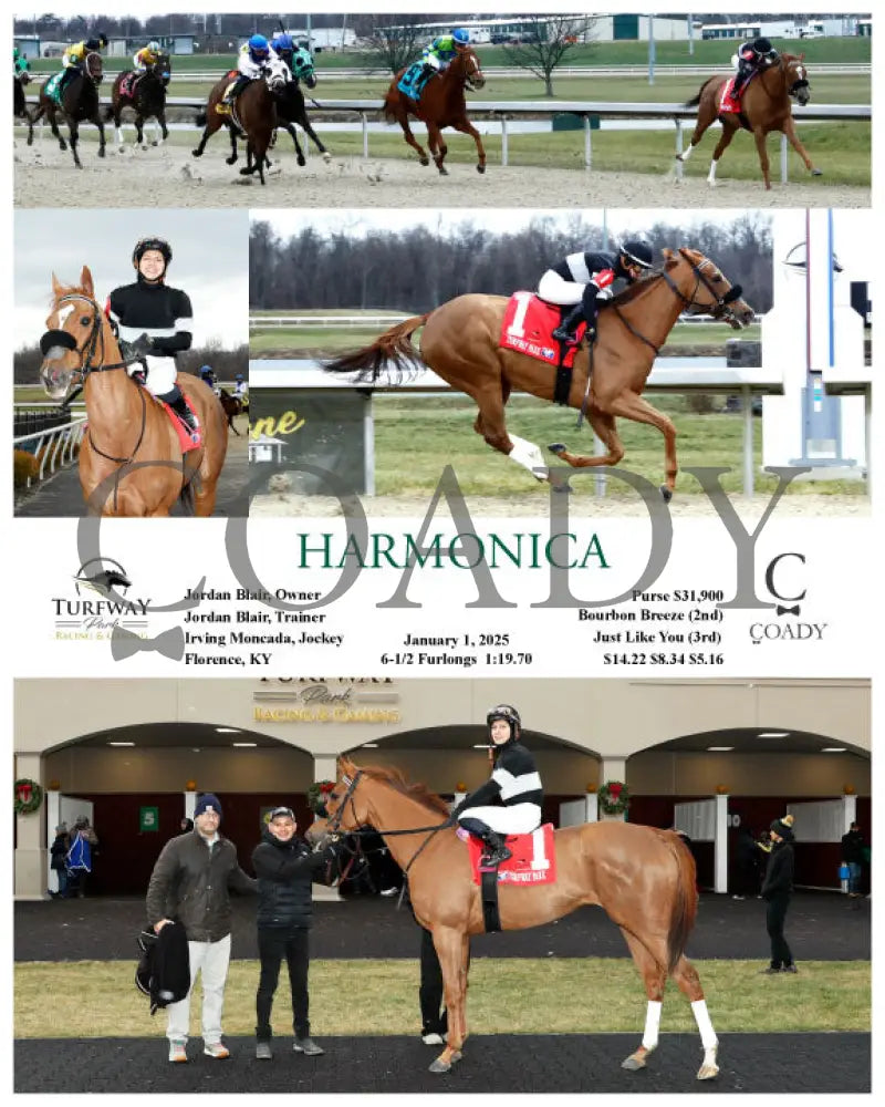 Harmonica - 010125 Race 03 Tp Turfway Park