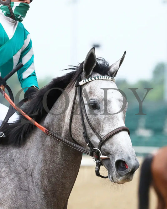 Harvey’s Lil Goil - The Regret G3 51St Running 06-27-20 R11 Cd Come Back 01 Churchill Downs