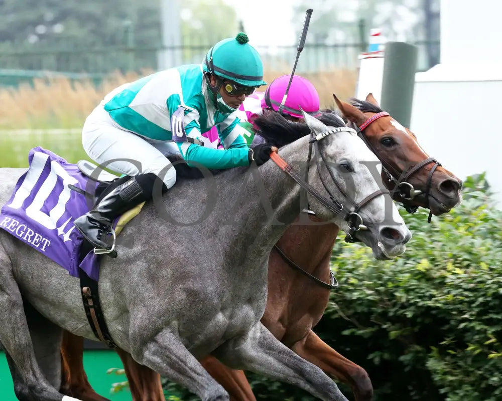 Harvey’s Lil Goil - The Regret G3 51St Running 06-27-20 R11 Cd Finish 04 Churchill Downs