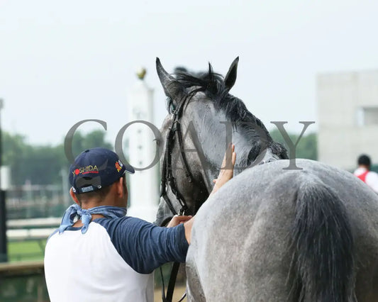 Harvey’s Lil Goil - The Regret G3 51St Running 06-27-20 R11 Cd Post Race 01 Churchill Downs