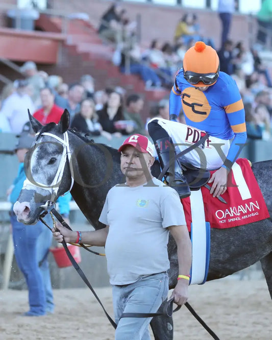 HAULIN ICE - 030125 - Race 09 - OP The DownTheDustyRoad Breeders’ Stakes - 17th Running - Comeback 01 Oaklawn Park
