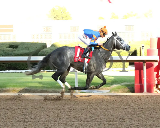 HAULIN ICE - 030125 - Race 09 - OP The DownTheDustyRoad Breeders’ Stakes - 17th Running - Finish 01 Oaklawn Park
