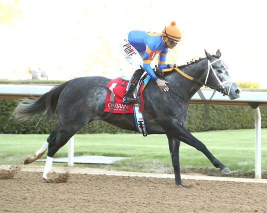 HAULIN ICE - 030125 - Race 09 - OP The DownTheDustyRoad Breeders’ Stakes - 17th Running - Finish 02 Oaklawn Park