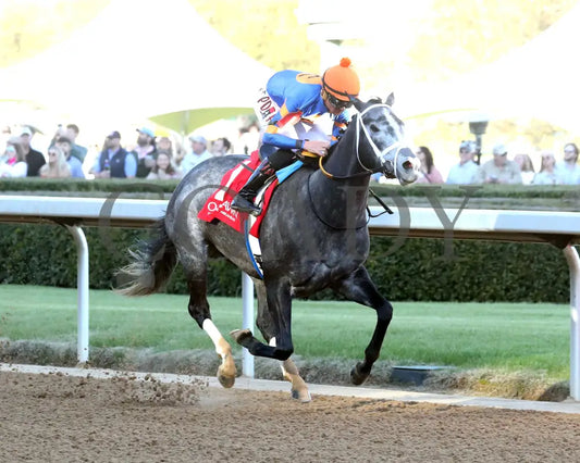 HAULIN ICE - 030125 - Race 09 - OP The DownTheDustyRoad Breeders’ Stakes - 17th Running - Finish 03 Oaklawn Park