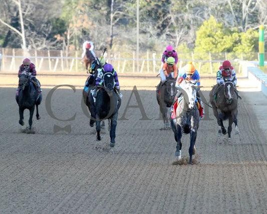 HAULIN ICE - 030125 - Race 09 - OP The DownTheDustyRoad Breeders’ Stakes - 17th Running - Head On 01 Oaklawn Park