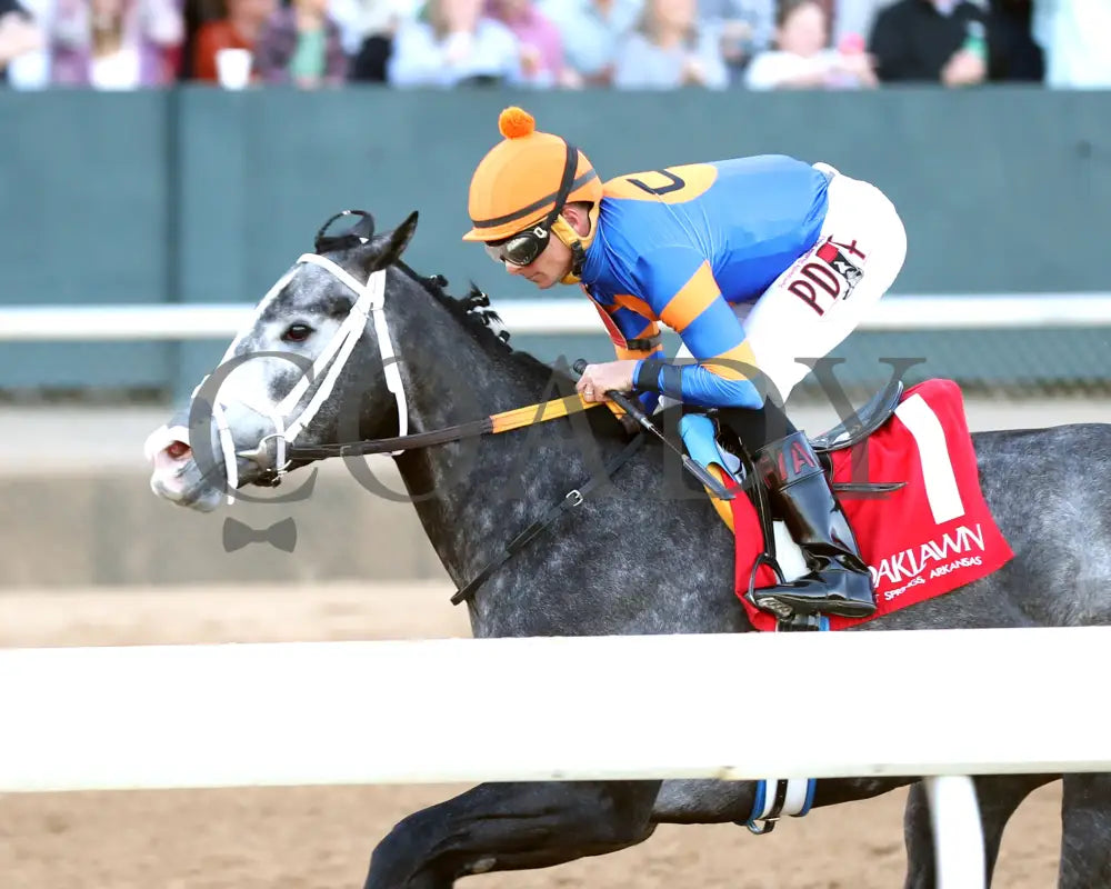 HAULIN ICE - 030125 - Race 09 - OP The DownTheDustyRoad Breeders’ Stakes - 17th Running - Inside Finish 01 Oaklawn Park