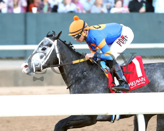 HAULIN ICE - 030125 - Race 09 - OP The DownTheDustyRoad Breeders’ Stakes - 17th Running - Inside Finish 01 Oaklawn Park