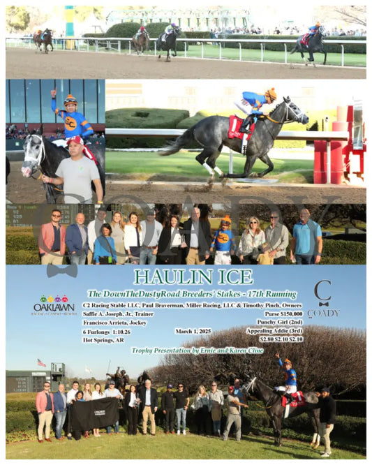 HAULIN ICE - 030125 - Race 09 - OP The DownTheDustyRoad Breeders’ Stakes - 17th Running Oaklawn Park
