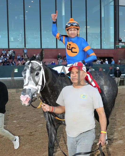 HAULIN ICE - 030125 - Race 09 - OP The DownTheDustyRoad Breeders’ Stakes - 17th Running - Walk In 01 Oaklawn Park