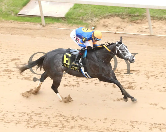 HAULIN ICE - Matron Stakes - 03-29-25 - R06 - OP - Aerial Finish 01 Oaklawn Park