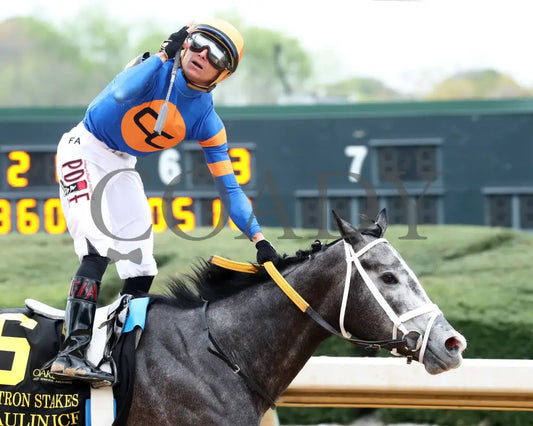 HAULIN ICE - Matron Stakes - 03-29-25 - R06 - OP - Celebration 01 - Coady Media - Kurtis Coady Photography