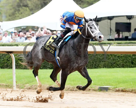 HAULIN ICE - Matron Stakes - 03-29-25 - R06 - OP - Finish 02 - Coady Media - Kurtis Coady Photography