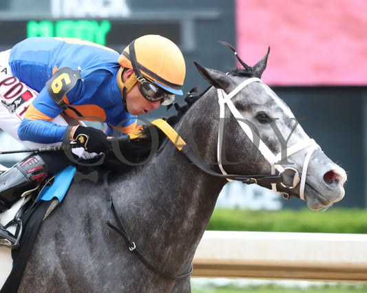 HAULIN ICE - Matron Stakes - 03-29-25 - R06 - OP - Finish 04 - Coady Media - Kurtis Coady Photography
