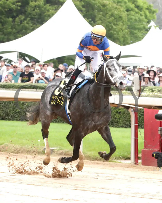 HAULIN ICE - Matron Stakes - 03-29-25 - R06 - OP - Finish 03 Oaklawn Park