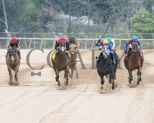 HAULIN ICE - Matron Stakes - 03-29-25 - R06 - OP - Head On 01 Oaklawn Park