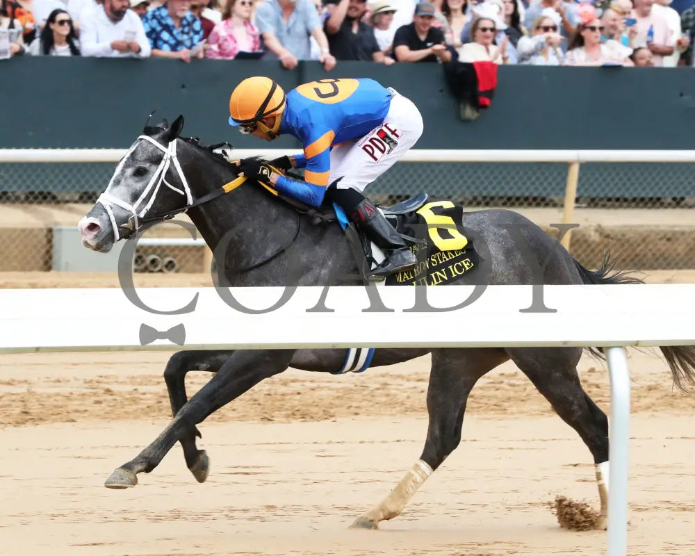 HAULIN ICE - Matron Stakes - 03-29-25 - R06 - OP - Inside Finish 01 Oaklawn Park