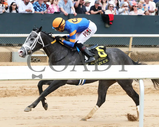 HAULIN ICE - Matron Stakes - 03-29-25 - R06 - OP - Inside Finish 01 Oaklawn Park