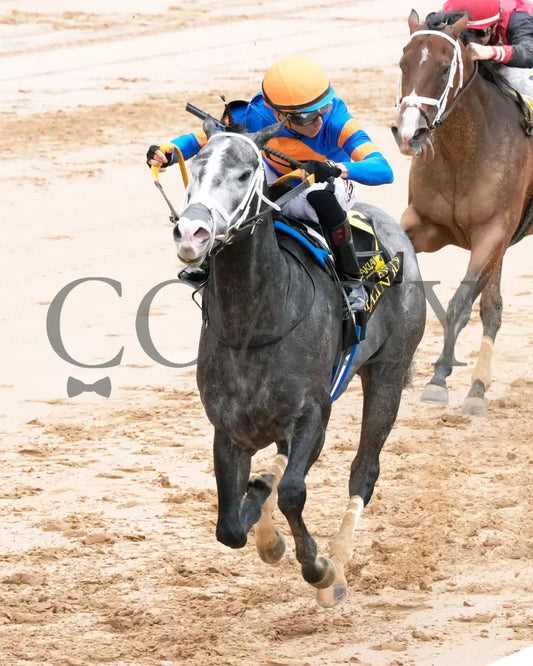 HAULIN ICE - Matron Stakes - 03-29-25 - R06 - OP - Inside Finish 02 Oaklawn Park