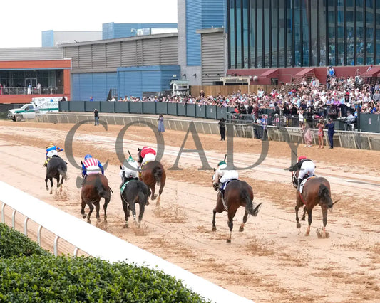 HAULIN ICE - Matron Stakes - 03-29-25 - R06 - OP - Inside Finish 04 - Coady Media - Kurtis Coady Photography