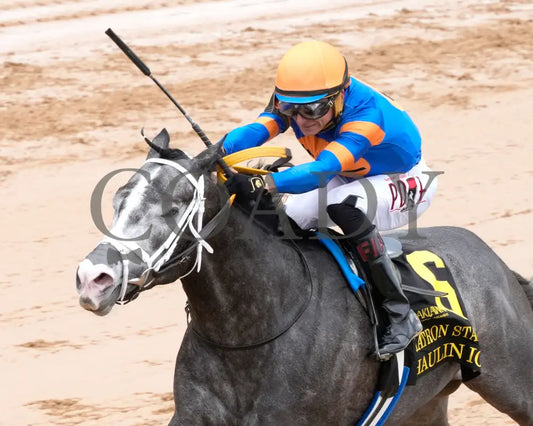 HAULIN ICE - Matron Stakes - 03-29-25 - R06 - OP - Inside Finish 03 Oaklawn Park