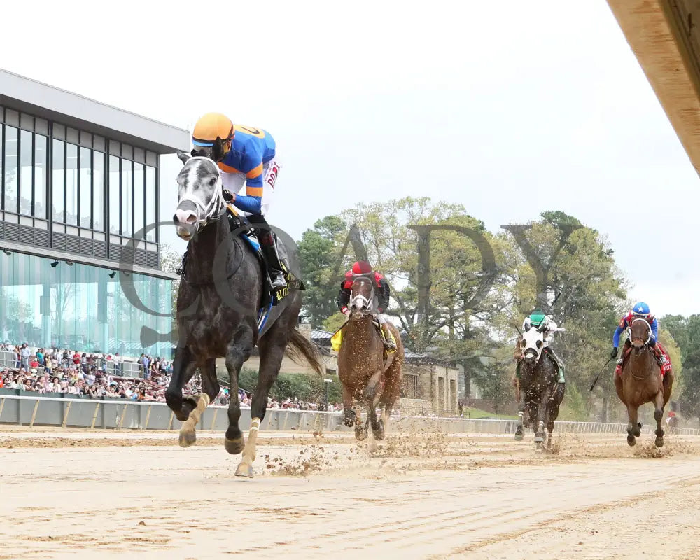 HAULIN ICE - Matron Stakes - 03-29-25 - R06 - OP - Under Rail 01 - Coady Media - Kurtis Coady Photography