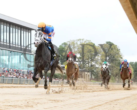 HAULIN ICE - Matron Stakes - 03-29-25 - R06 - OP - Under Rail 01 - Coady Media - Kurtis Coady Photography