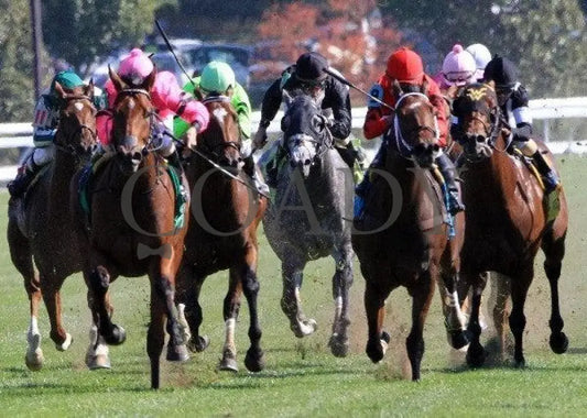 Havelock - Head On 100811 Race 05 Keeneland