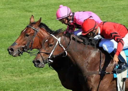 Havelock - Inside Finish 2 100811 Race 05 Keeneland