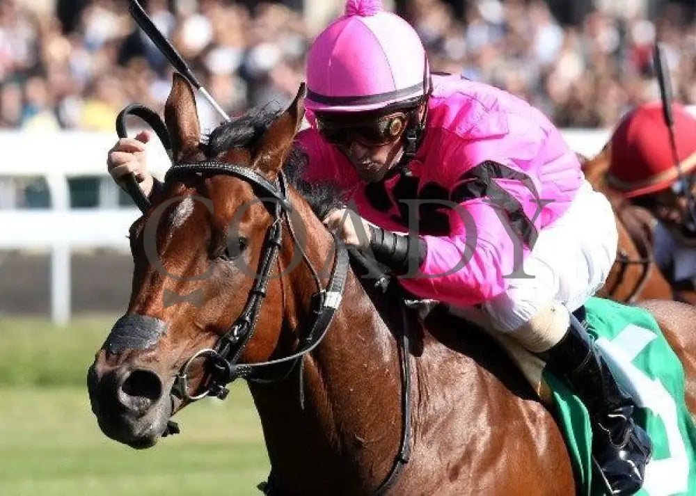 Havelock - Inside Tight 100811 Race 05 Keeneland