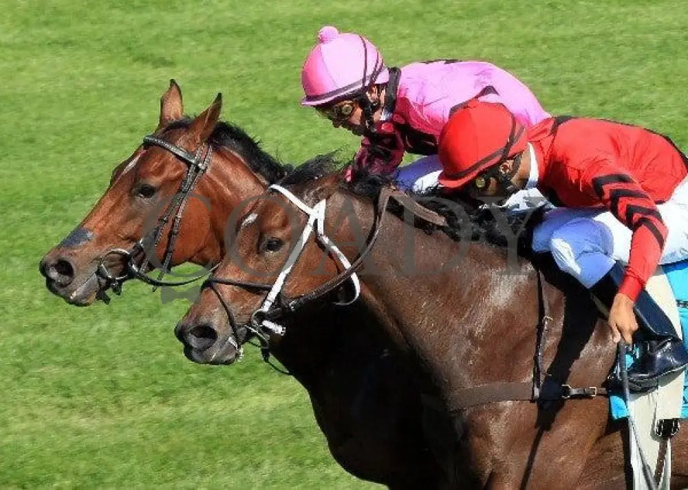 Havelock - Inside Tight 2 100811 Race 05 Keeneland