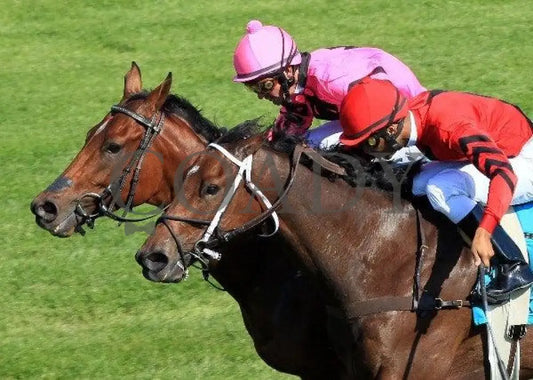 Havelock - Inside Tight 2 100811 Race 05 Keeneland