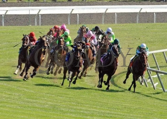 Havelock - Turn 1 100811 Race 05 Keeneland