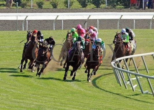 Havelock - Turn 2 100811 Race 05 Keeneland