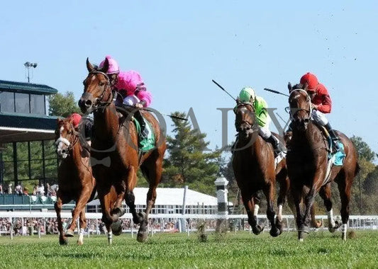 Havelock - Under Rail 100811 Race 05 Keeneland