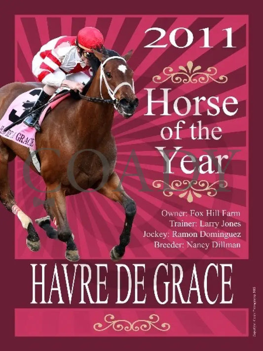 Havre De Grace - Horse of the Year - 18x24 Poster - Coady Media - Kurtis Coady Photography