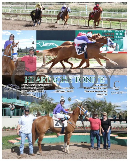 Heartache Tonite - 02-28-24 R01 Tup Turf Paradise
