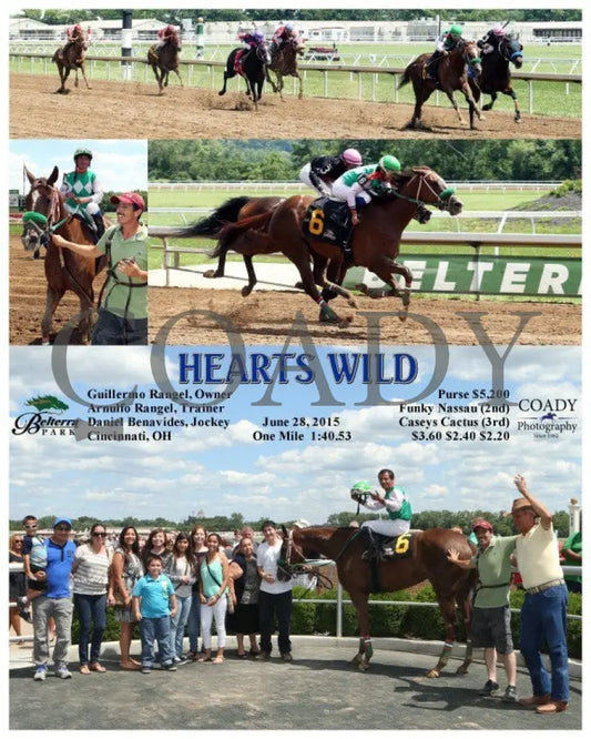 Hearts Wild - 062815 Race 04 Btp Belterra Park