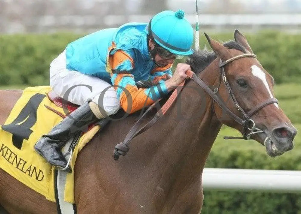 Heavenly Landing - 1 102111 Race 06 Keeneland