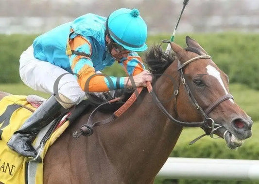 Heavenly Landing - 2 102111 Race 06 Keeneland