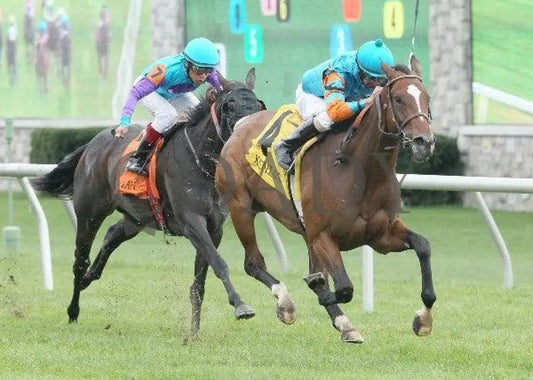 Heavenly Landing - 3 102111 Race 06 Keeneland