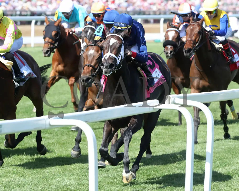 Heavenly Sunday - The Edgewood G2 39Th Running 05-05-23 R10 Cd Inside Finish 02 Churchill Downs